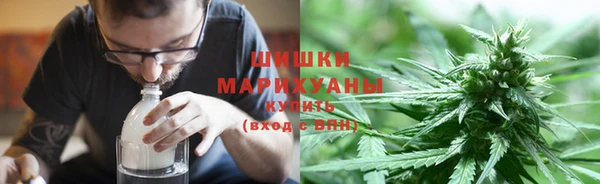 apvp Горняк