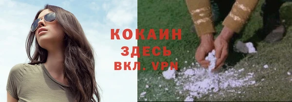 apvp Горняк