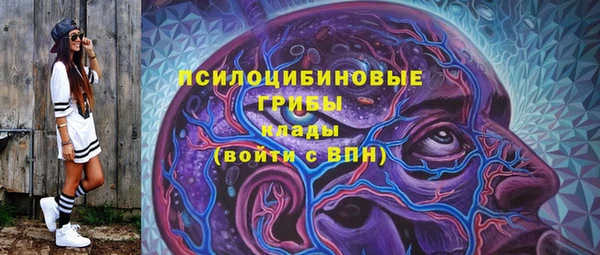 амф Горно-Алтайск
