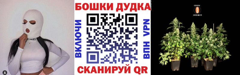 Каннабис Bruce Banner  блэк спрут   Солигалич 